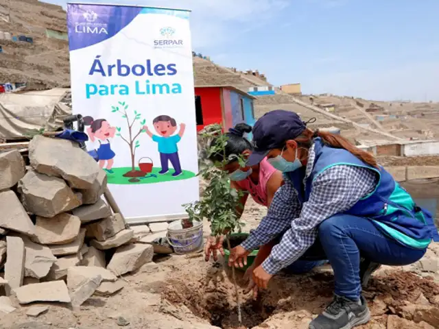 Hora del Planeta: inician plantación de 1 000 árboles en Puente Piedra