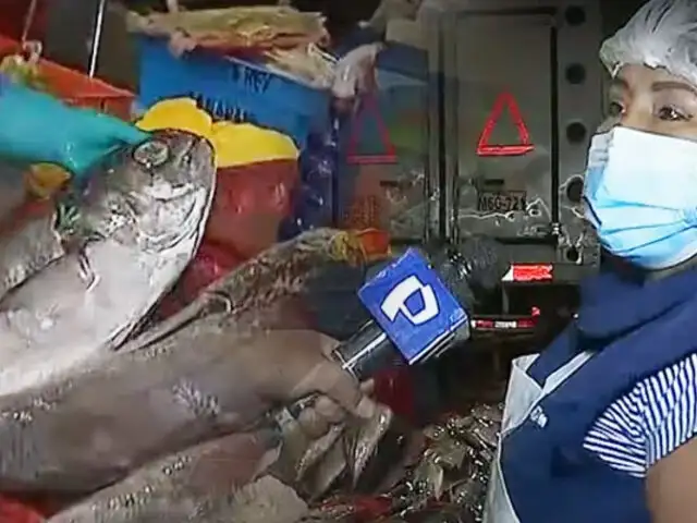 ¡El pescado también está caro!: Kilo de bonito sube a 6 soles