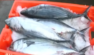 VMT: Comerciantes remataron kilo de pescado hasta en S/ 2 por el toque de queda