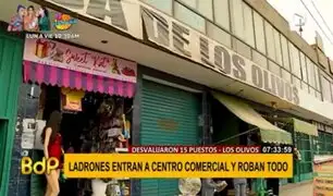 Los Olivos: Más de 15 locales de centro comercial son asaltados en tan solo una noche