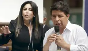 Patricia Chirinos presentó denuncia constitucional contra Pedro Castillo por decretar toque de queda