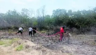 Tumbes: se registra Incendio forestal en Santuario Los Manglares