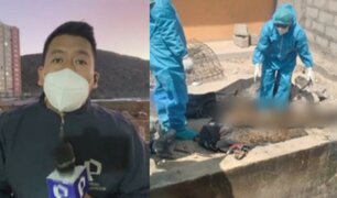 Macabra escena: hallan cadáveres decapitados de dos menores en Arequipa