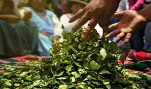 Cusco: Productores de hoja de coca en contra de reestructuración de Enaco