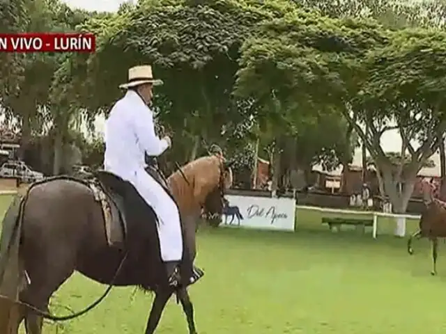 Después de 3 años se volverá a realizar el Concurso Anual de Caballo de Paso