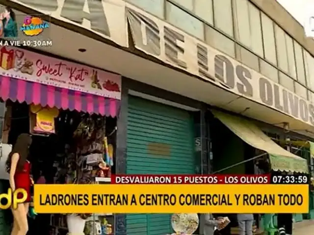 Los Olivos: Más de 15 locales de centro comercial son asaltados en tan solo una noche