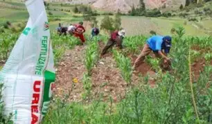 Gobierno anuncia que entrega de fertilizantes ya no será gratuito sino que se venderá a “precio social”