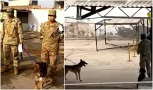 Ejército rechaza versión de maltrato animal en cuartel: "No hay agresión, no lo estaba mordiendo"