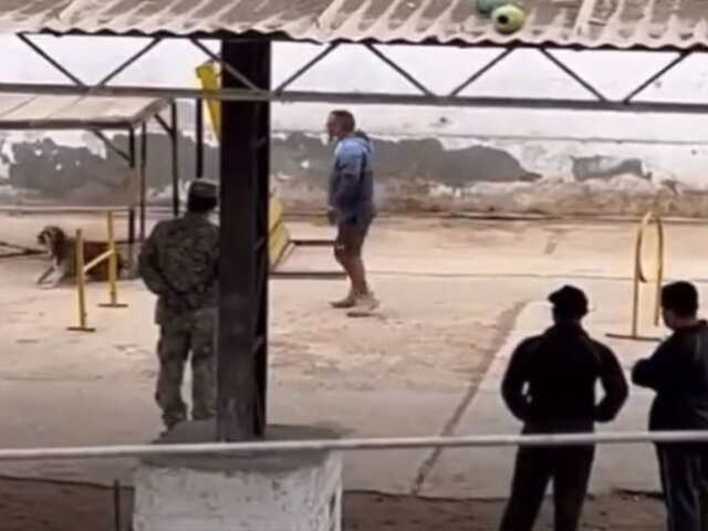 Ejército se pronuncia sobre supuesto maltrato animal en el cuartel “Rafael Hoyos Rubio”