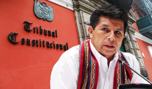 Pedro Castillo: mandatario recurrirá al TC si rechazan anular investigación fiscal en su contra