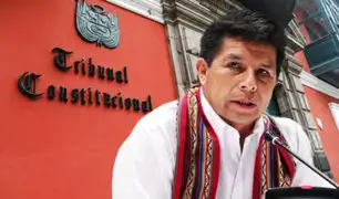 Pedro Castillo: mandatario recurrirá al TC si rechazan anular investigación fiscal en su contra