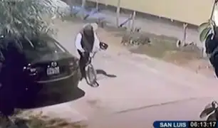San Luis: sujeto arranca espejo de auto, fuga en bicicleta pero gracias a cámaras es capturado