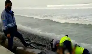 Miraflores: autoridades aún no identifican cadáver de hombre encontrado en playa de la Costa Verde