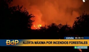 Ola de calor en España: Declaran alerta máxima por incendios forestales