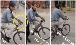 Un adulto mayor se hace viral por usar a su lorito como claxon de su bicicleta
