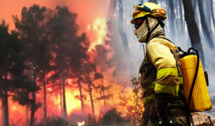 Ola de Calor en España: Incendios arrasan con 20 mil hectáreas en el noroeste del país
