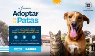 “Adoptar es de patas”: Larcomar presenta campaña de adopción junto a Fundación Rayito