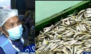 Celebran el Día del Pescador en terminal pesquero con gran devoción a San Pedro y San Pablo