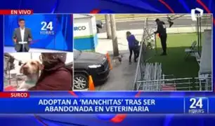 Surco: Adoptan a "manchitas", perrito que fue abandonado por su dueña en veterinaria