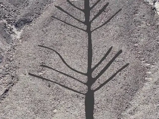 Líneas de Nazca: Estudiante de Arqueología descubre nuevo geoglifo en forma de árbol