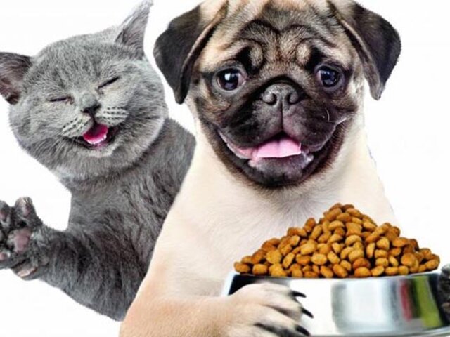 Comida para mascotas se eleva en 15%: conozca los ‘tips’ para ahorrar en alimentos con calidad