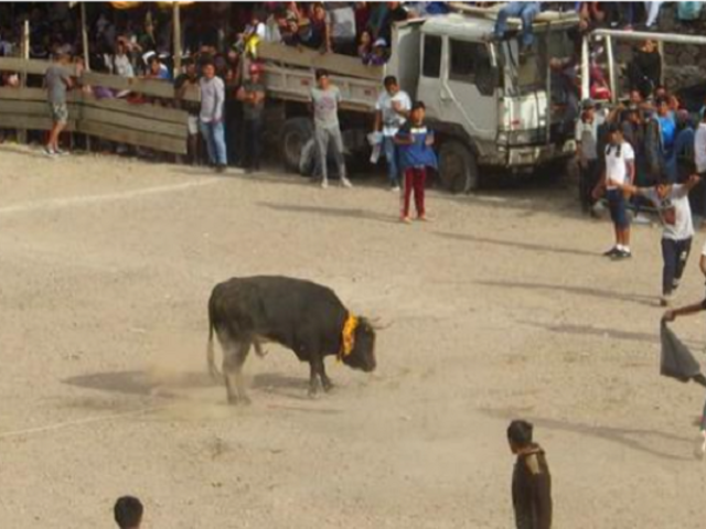 Ayacucho: Realizan corrida de toros sin permiso de la municipalidad y deja cinco personas heridas