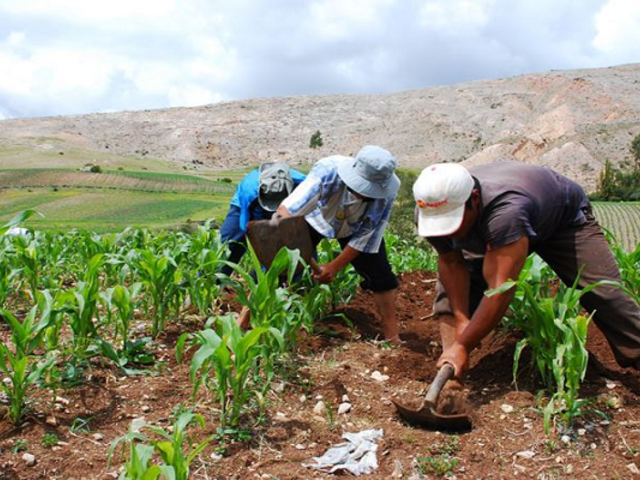 Gremios de agricultores presentan plan de emergencia ante la crisis de fertilizantes