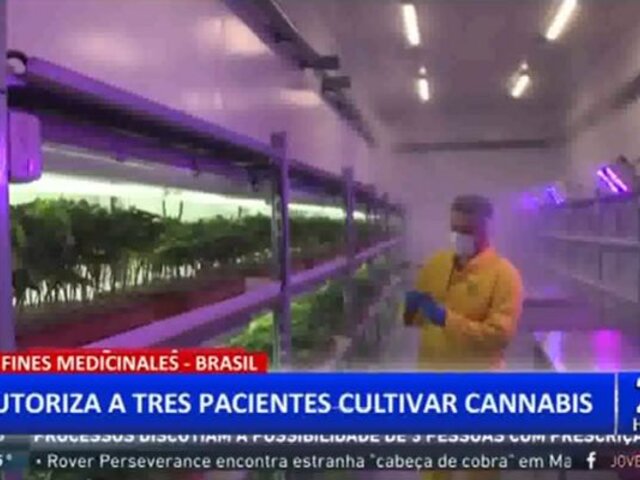Brasil: Pacientes reciben autorización para cultivar cannabis con fines medicinales