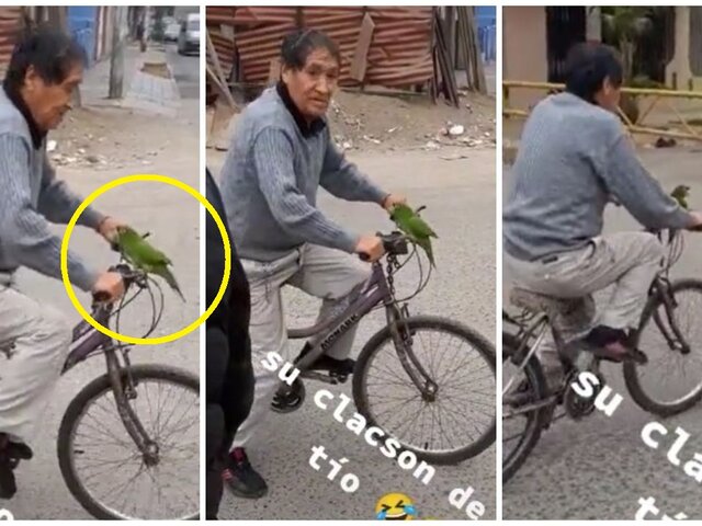 Un adulto mayor se hace viral por usar a su lorito como claxon de su bicicleta