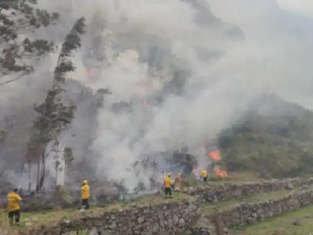 Al menos 14 viviendas calcinadas y varios pobladores con quemaduras deja incendio forestal en Puno