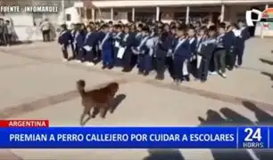 Argentina: Perrito callejero fue homenajeado por cuidar a escolares
