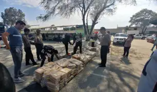 Piura: hallan más de 200 kilos de alcaloide de cocaína enterrados cerca de una chacra