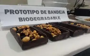 Crean prototipo de envases biodegradables con cáscaras de café y nuez amazónica