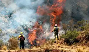 Cusco: un muerto deja hasta el momento temporada de incendios forestales