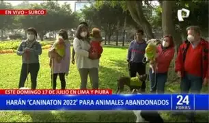 Surco: Alistan "Caninaton 2022" en beneficio de animales abandonados