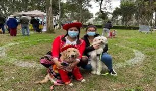 Perritos patriotas en Comas: Serpar organiza concurso canino de disfraces por Fiestas Patrias