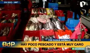 Terminal pesquero de VMT: alerta por desabastecimiento de pescado debido a oleaje anómalo