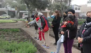 Vecinos de La Molina aplican agricultura urbana ante eventual crisis alimentaria