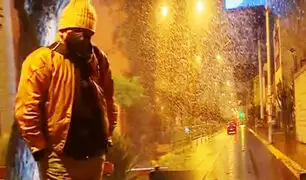 Lima amanece con intensa llovizna en Fiestas Patrias