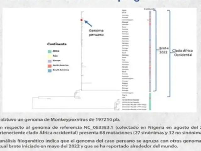 INS analizó el genoma del virus Monkeypox del primer caso de la viruela del mono en el país