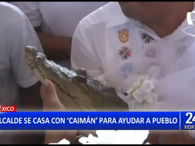 México: Alcalde de San Pedro de Huamelula se casa con caimán