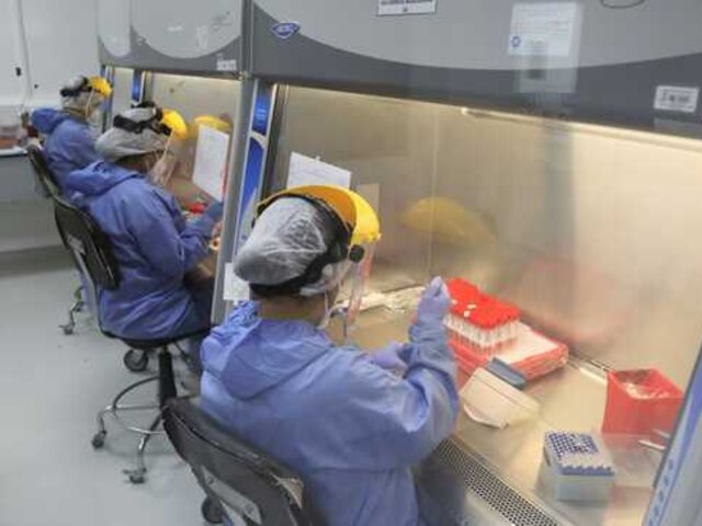 Perú es el segundo país en Sudamérica en secuenciar el genoma completo del virus de la viruela del mono