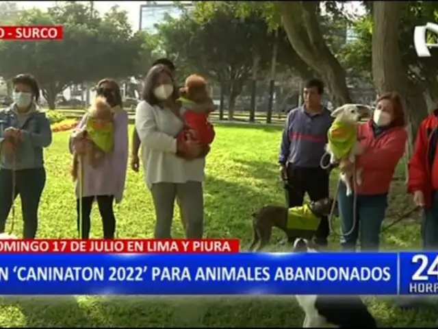 Surco: Alistan "Caninaton 2022" en beneficio de animales abandonados