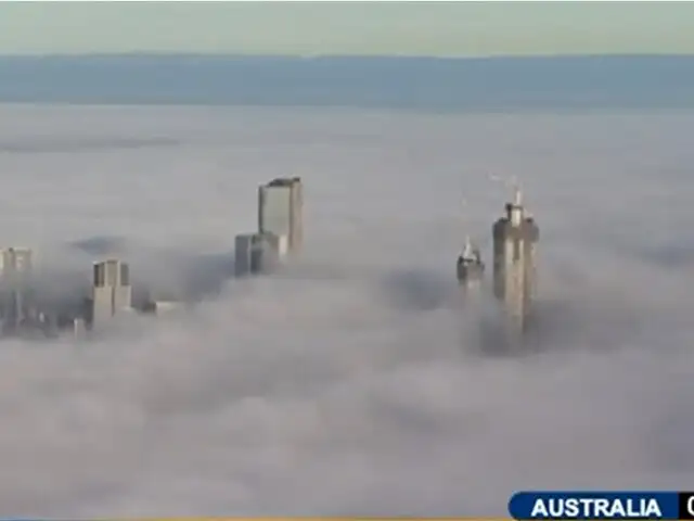 Australia: densa neblina cubrió Sidney  y causó alarma en conductores