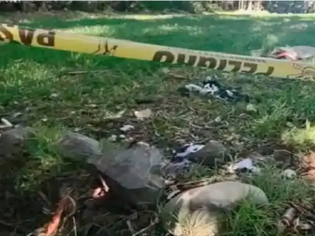Macabro hallazgo en Huancayo: encuentran cadáver de hombre siendo devorado por perros
