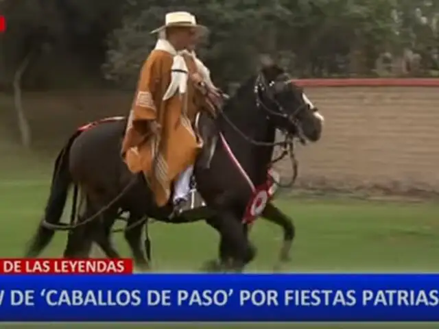 Parque de las Leyendas ofrece show de caballos de paso por Fiestas Patrias
