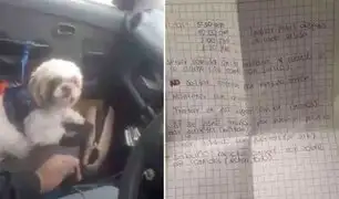 Sujeto engaña a taxista y deja abandonado a su perrito a bordo del vehículo