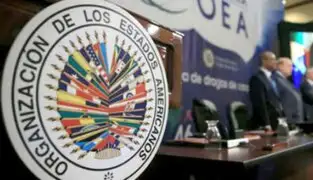 Misión de la OEA llegará al Perú la próxima semana