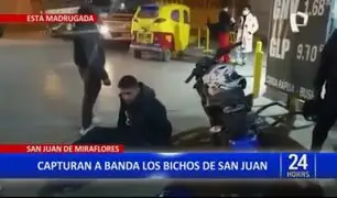 SJM: Capturan a integrantes de peligrosa banda criminal "Los bichos de San Juan"