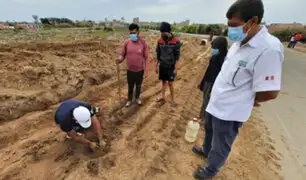 Lambayeque: al menos 15 sentenciados judiciales realizan labores de reforestación de algarrobo